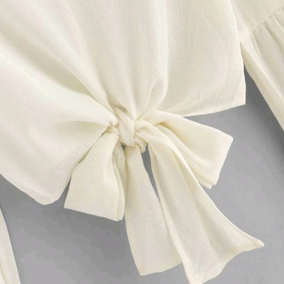 Floral Cream Color Chiffon Crop Top - Picture 3 of 8